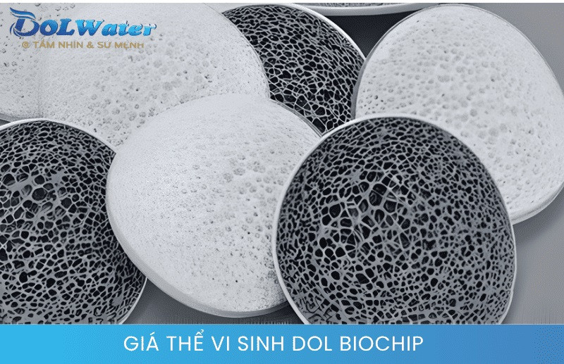 Sản phẩm giá thể vi sinh DOL BIOCHIP với diện tích bề mặt bảo vệ vượt trội.