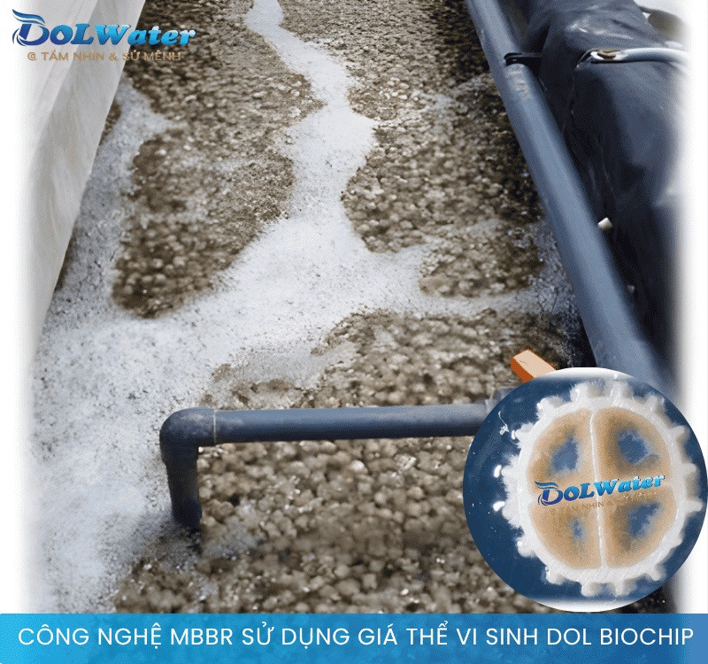 Sản phẩm giá thể vi sinh MBBR chất lượng cao tại DOLWATER.