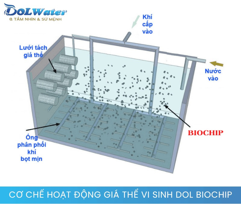 Cơ chế chuyển động và xử lý của giá thể vi sinh DOL BIOCHIP trong bể sinh học.