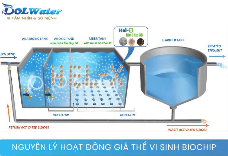 Cơ chế chuyển động lơ lửng và tiếp xúc của giá thể vi sinh BIOCHIP.