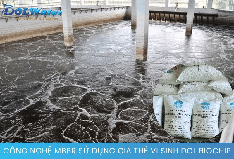 Màng sinh học phát triển dày đặc giúp công nghệ MBBR BIOCHIP đạt hiệu suất xử lý tối ưu.
