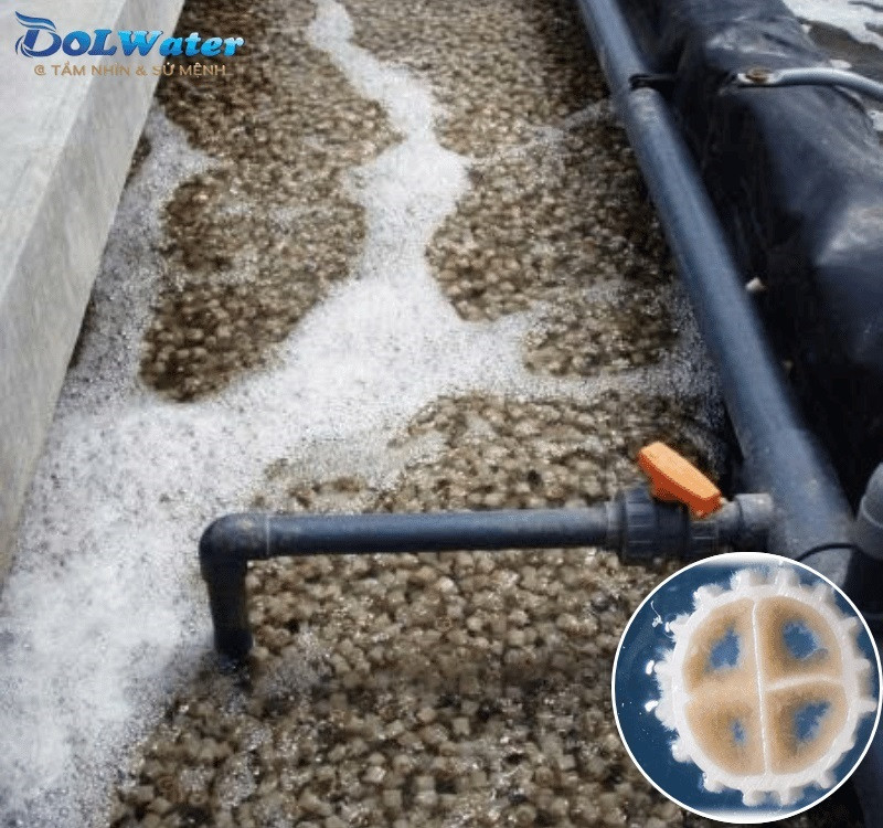 Hệ thống của hệ thống xử lý nước thải sinh hoạt 150m3/ Ngày đêm - Công nghệ MBBR.